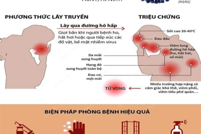 BÀI TUYÊN TRUYỀN PHÒNG CHỐNG BỆNH CÚM A, CÚM B
