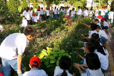 Hoạt động ngoài giờ lên lớp của các em